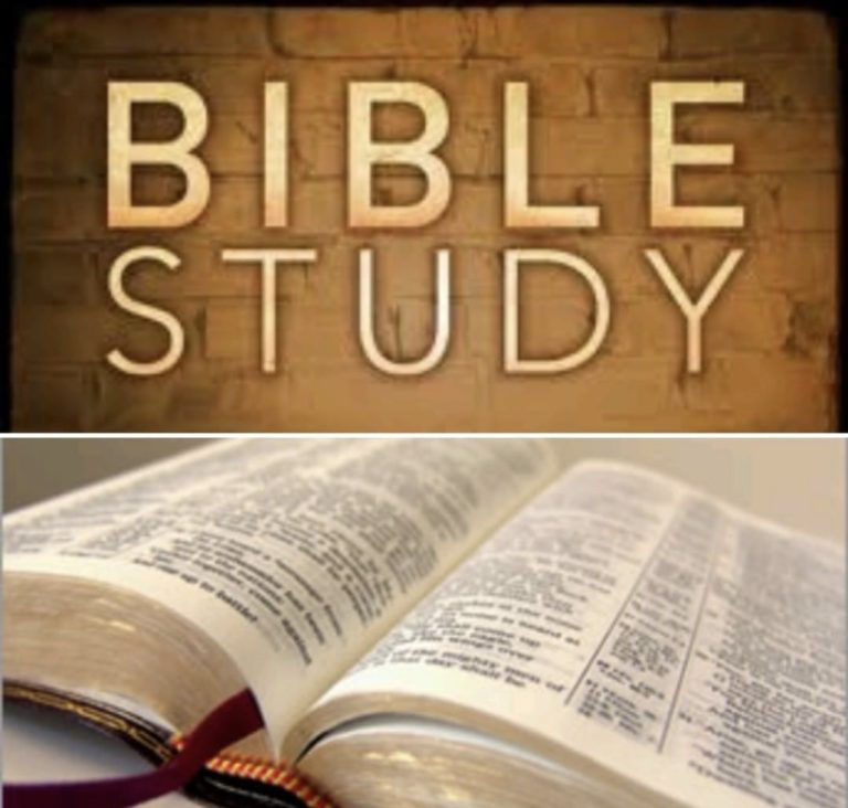 Weekly Bible Study Topics